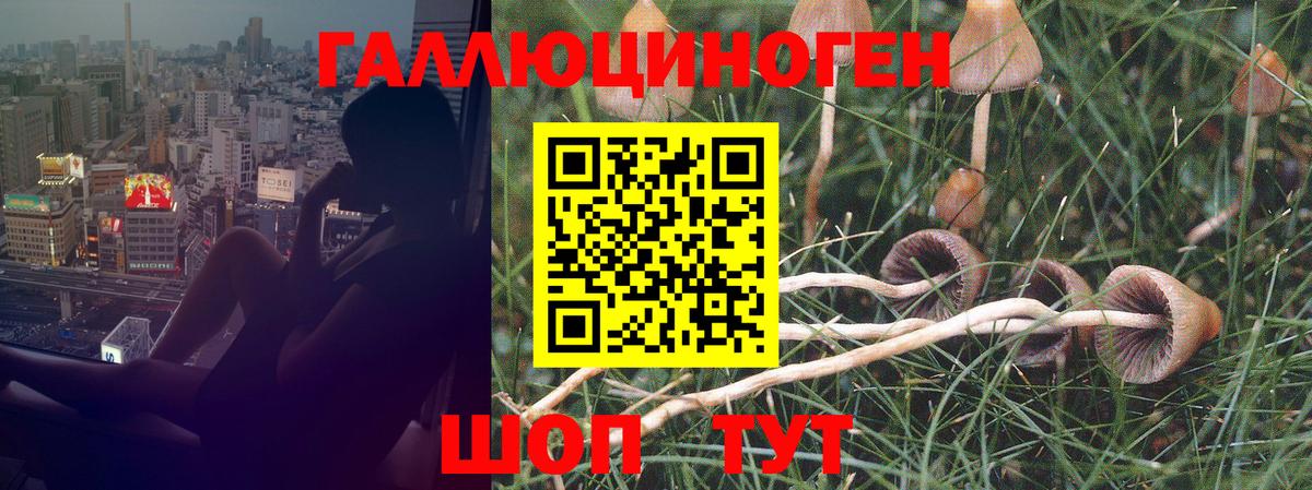 Псилоцибиновые грибы мицелий  Вход с VPN  Псилоцибиновые грибы мухоморы  как найти   Нефтекамск 