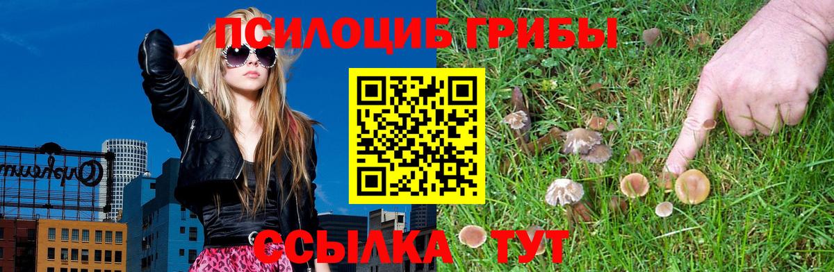 Галлюциногенные грибы Magic Shrooms Нефтекамск